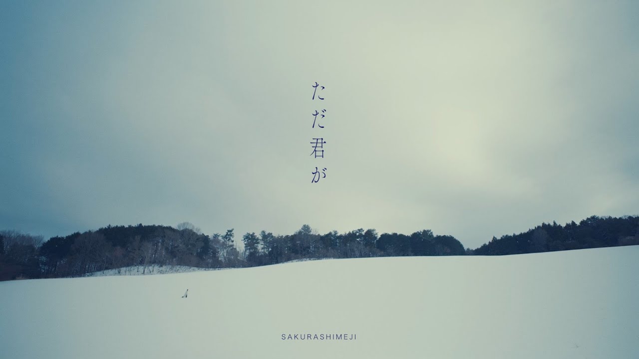 さくらしめじ「ただ君が」Music Video