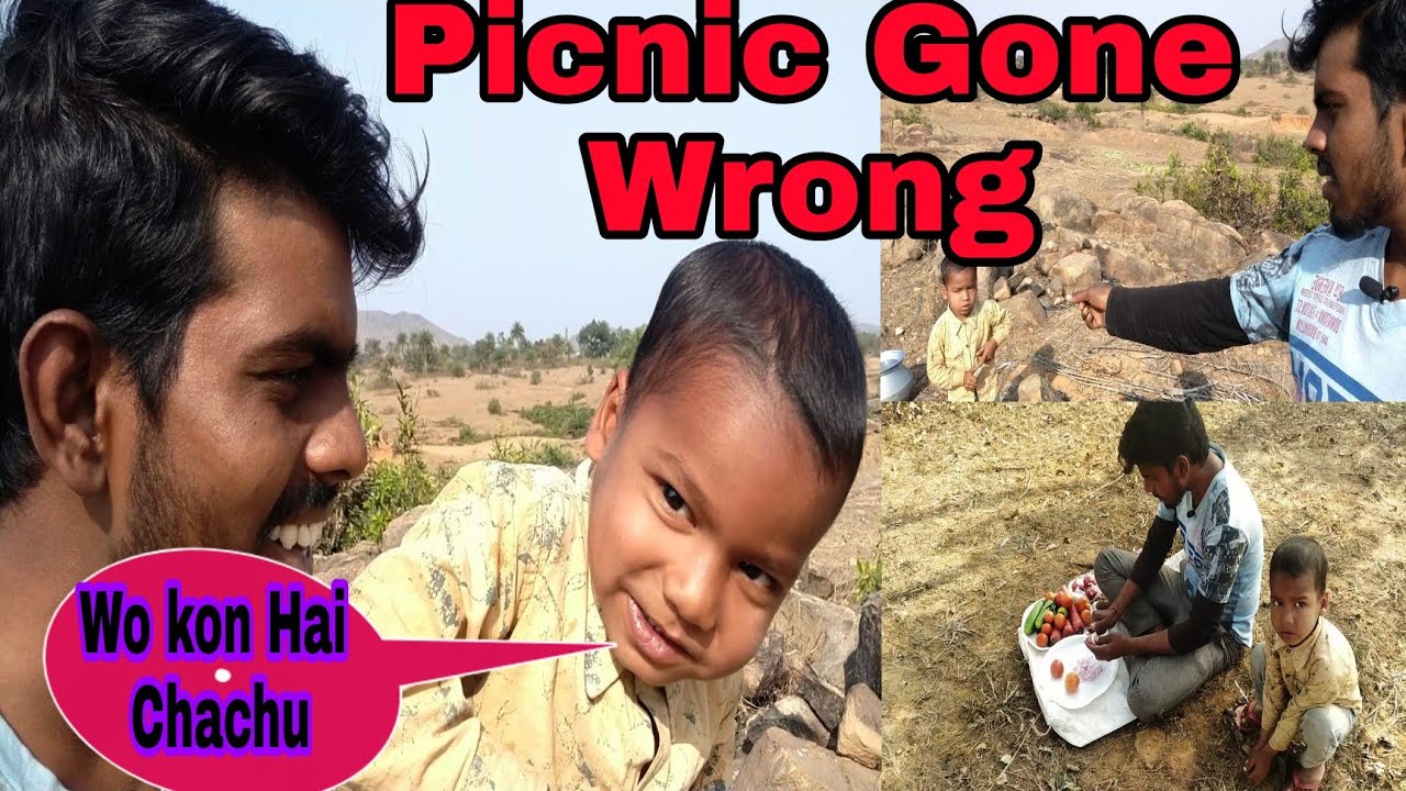 Picnic With Friends Gone Wrong || Desi Vlogs