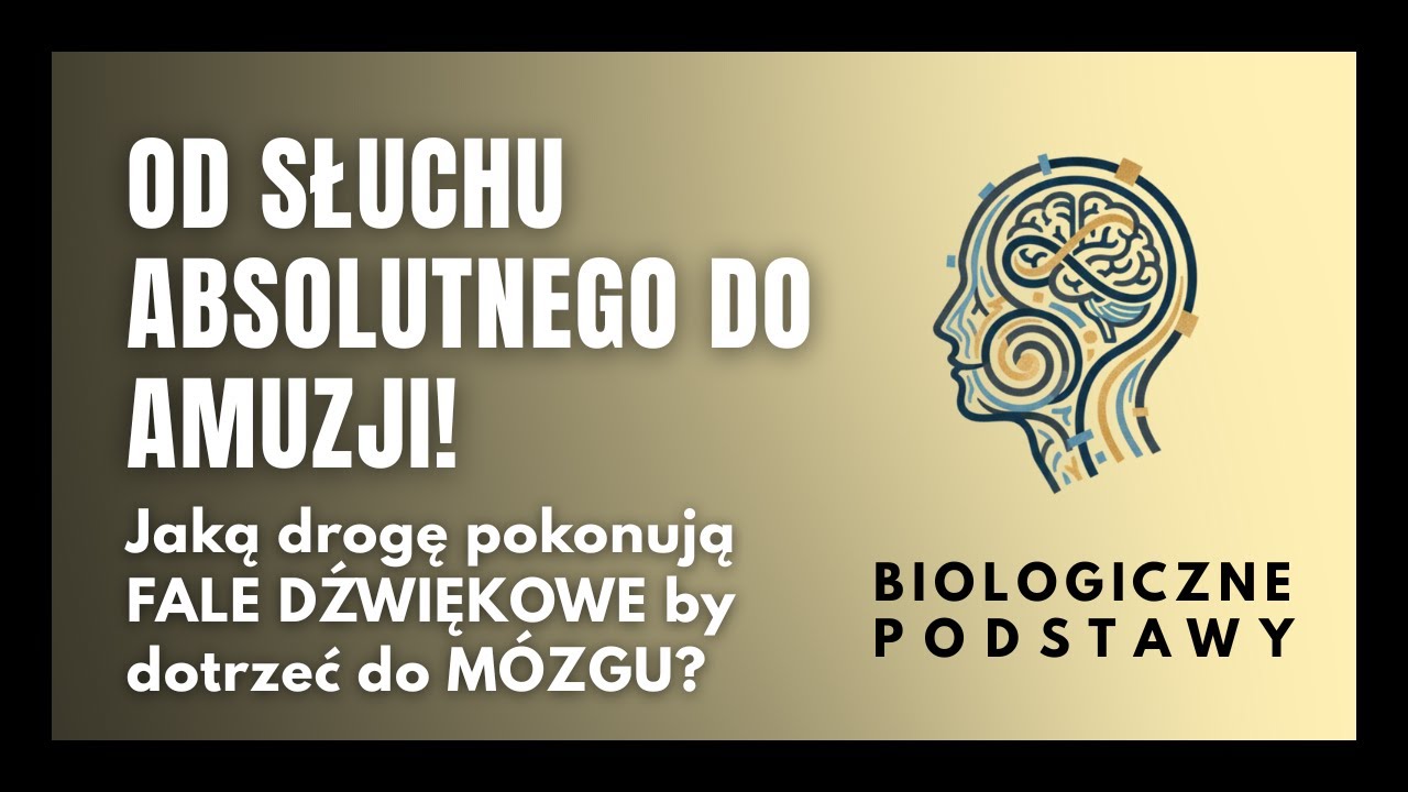 #40 Od słuchu absolutnego do amuzji