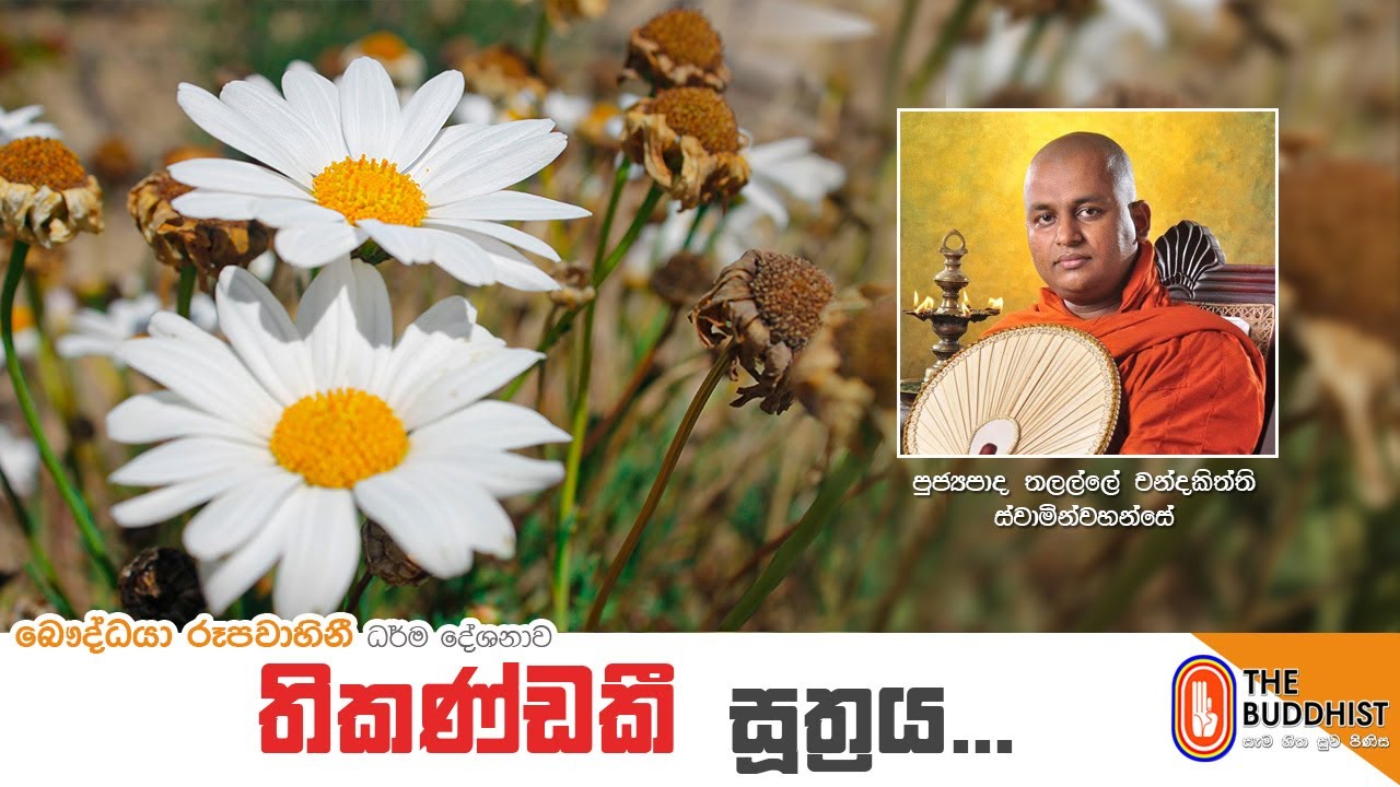 Ven Thalalle Chandakitthi Thero | 2021-02-04 | 12.30PM (තිකණ්ඩකී සූත්‍රය)