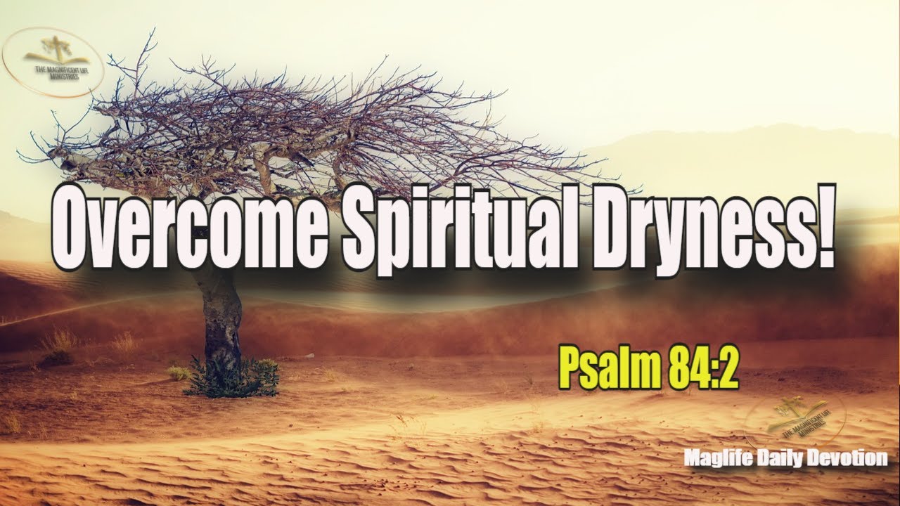 Overcome Spiritual Dryness! | Magnificent Life Daily Devotion