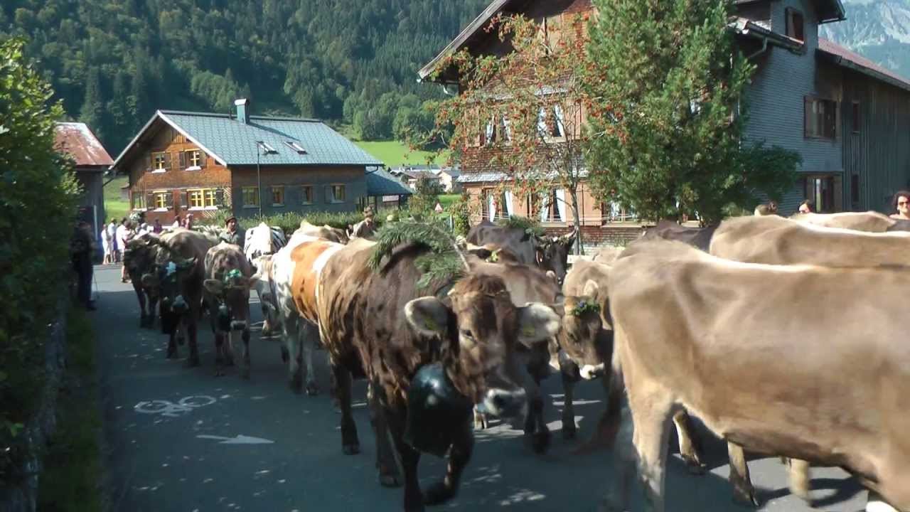 Almabtrieb in Au (Bregenzer Wald)