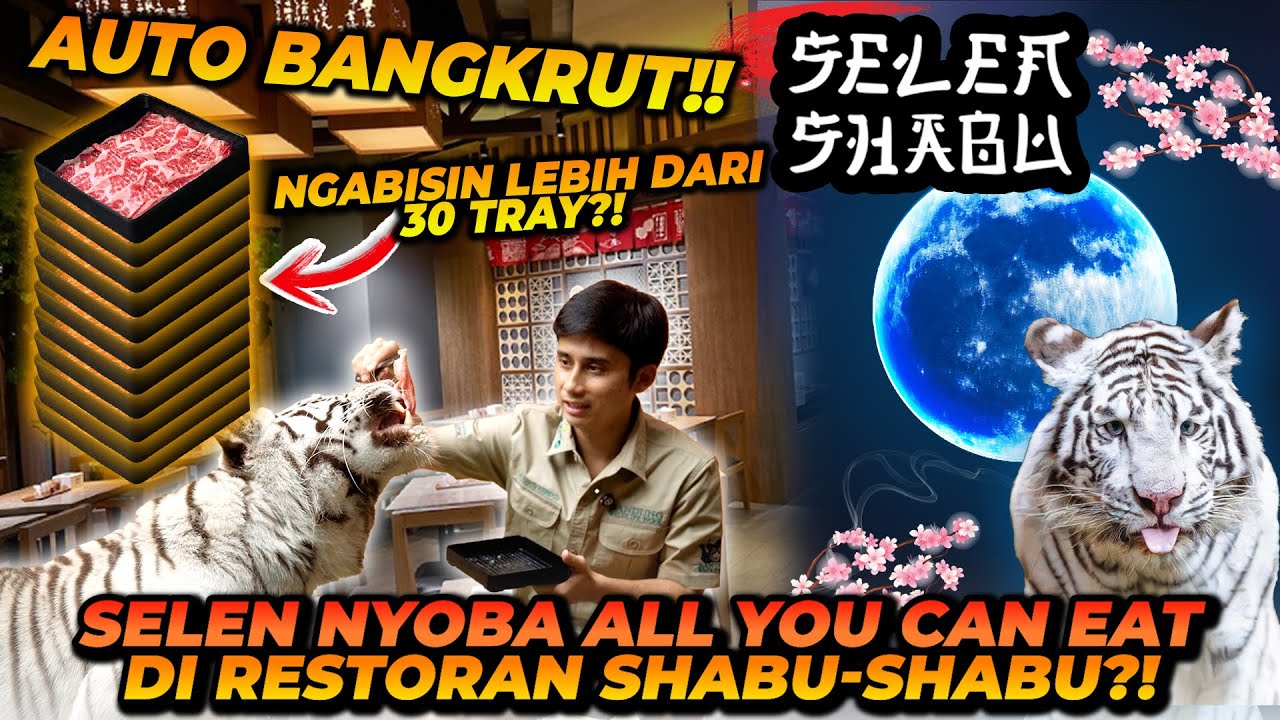 BAWA HARIMAU MAKAN ALL YOU CAN EAT DI RESTORAN SHABU SHABU !! BIKIN RESTO AUTO BANGKRUT ?!