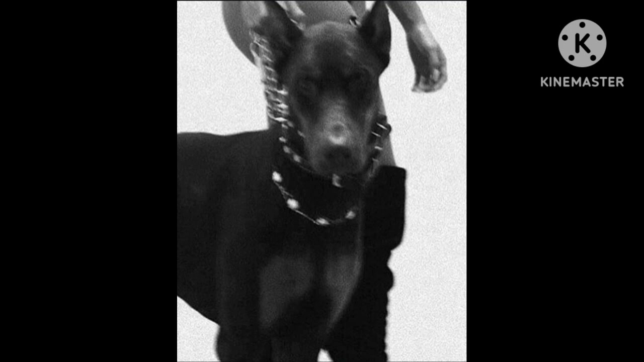 [FREE] 21SAVAGE X DRAKE TYPE BEAT 
