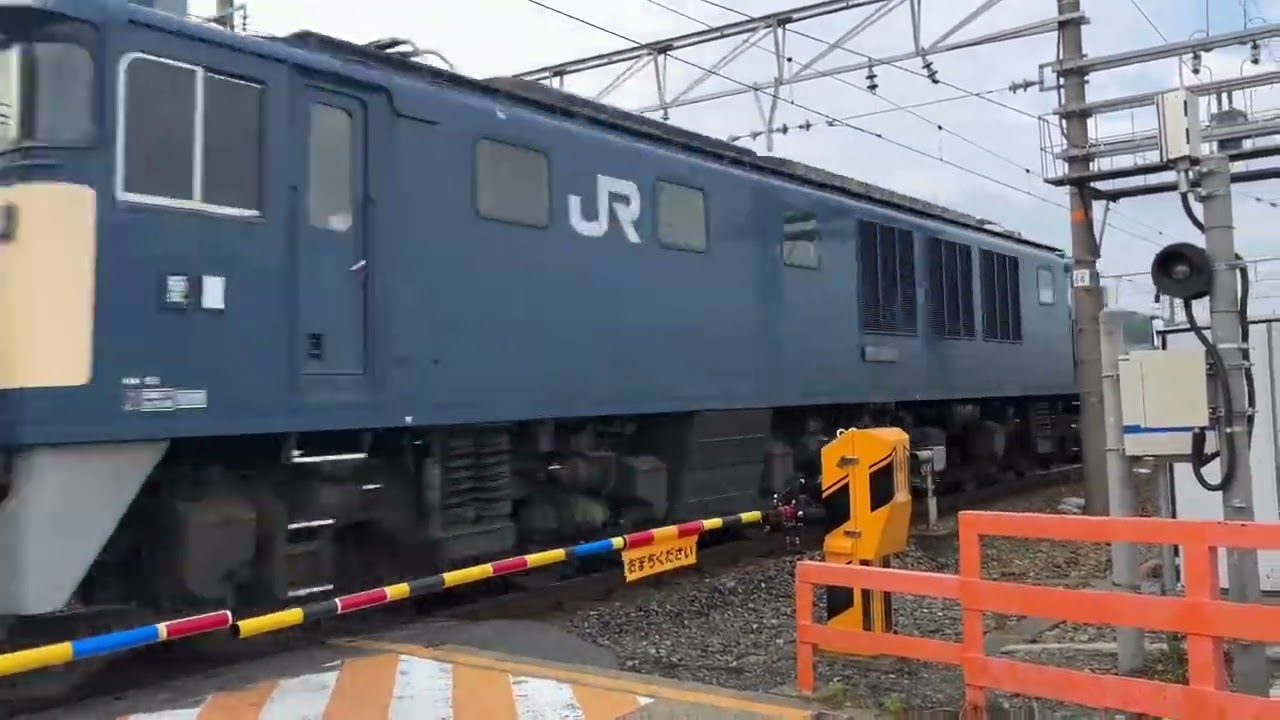 【ef66】サメが引退すると聞いて【惜別】