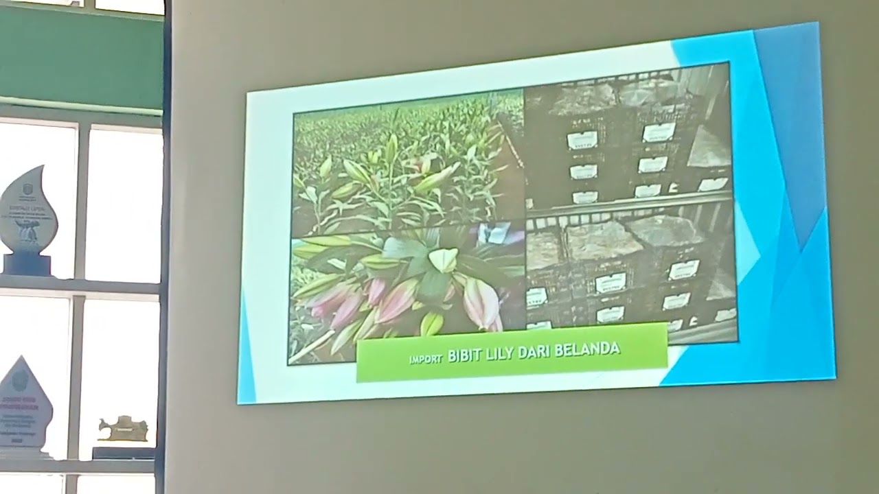 Ruang gerak CV Arjuna Flora, Batu-Malang