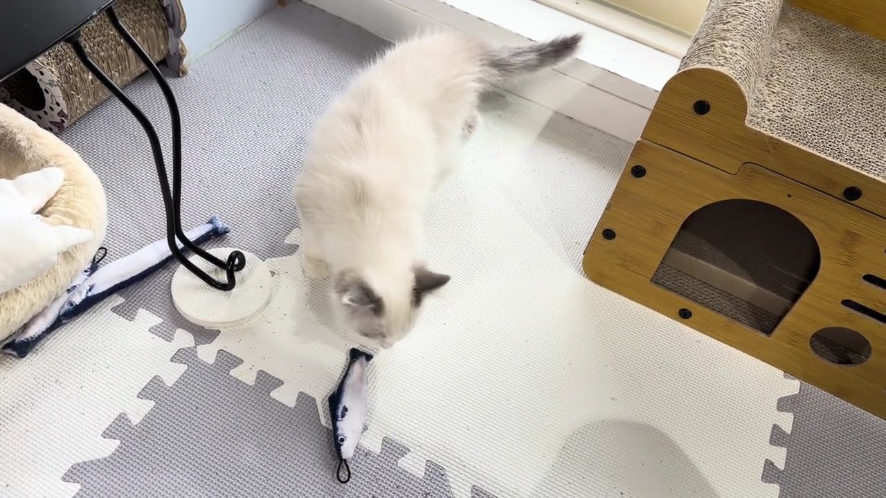 初めての探検