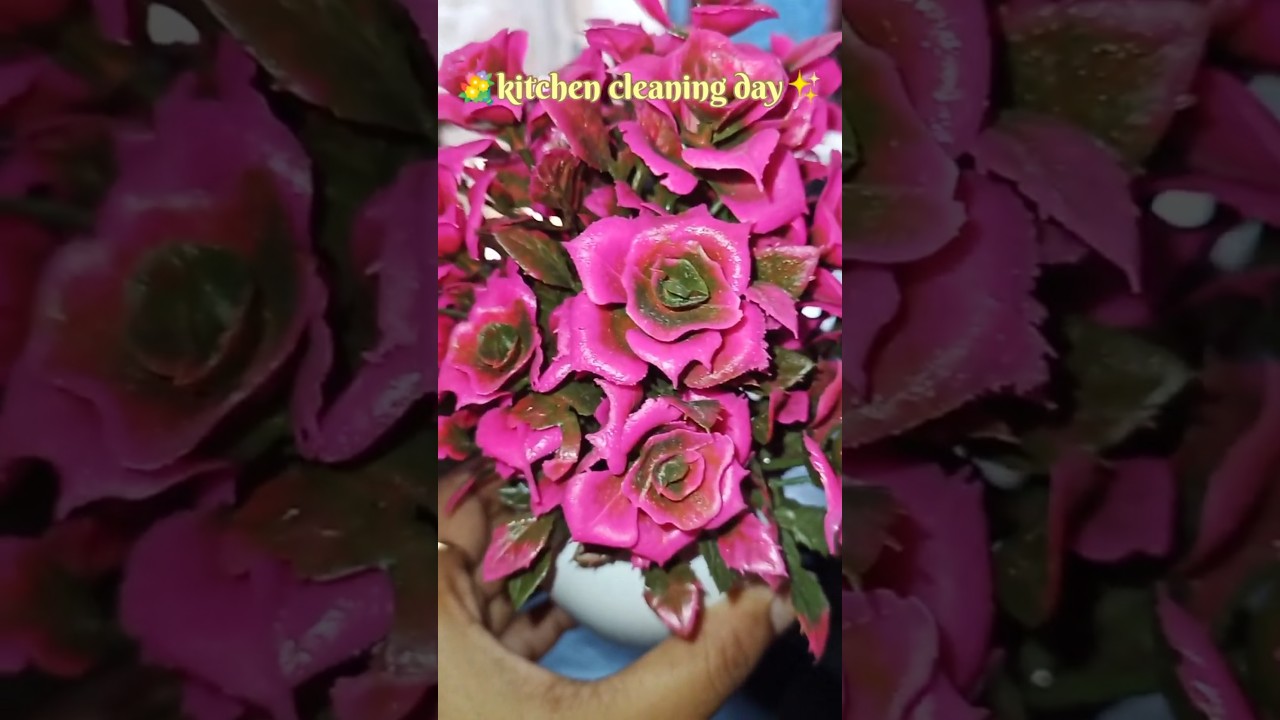✨💫🧹#KitchenCleaning#CleanKitchen#KitchenCleaningRoutine#DailyCleaning#HomeCleaning#CleanWithMe