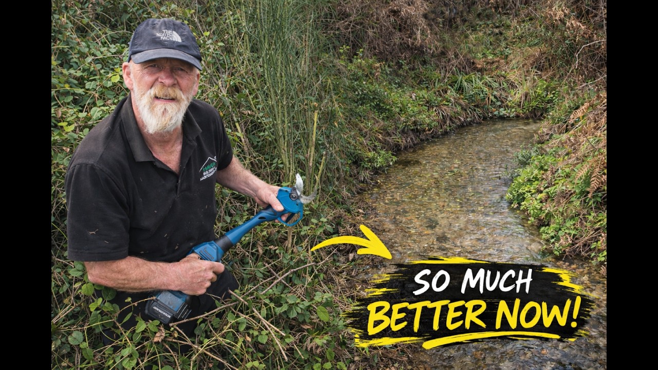 We Finally Cleared a Path to the River! 🌿 Huge Farm Transformation in Portugal 🇵🇹 Ep. 79