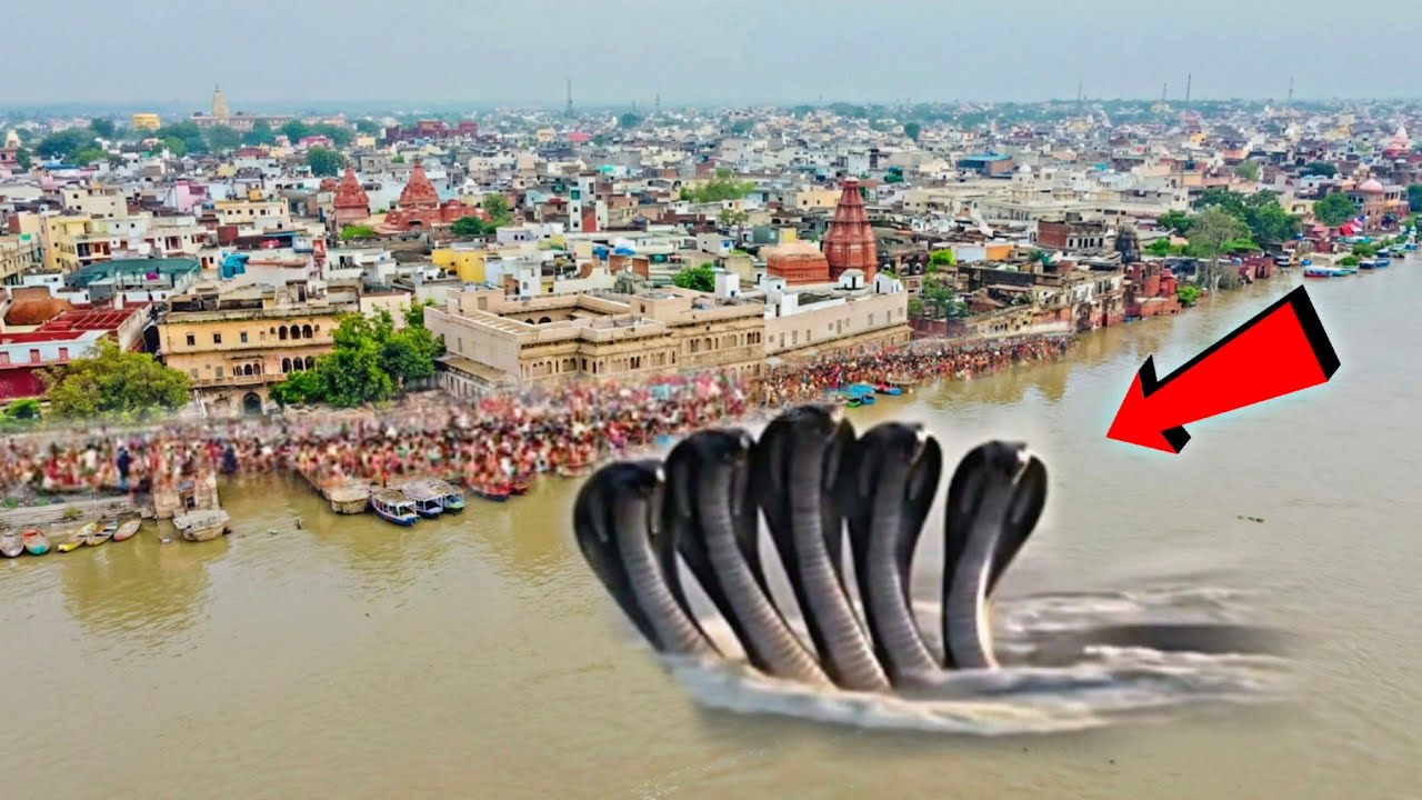 जब अचानक वृन्दावन के यमुना नदी में दिखा 9 फन वाला कालिया नाग 😱 जिसे देखकर सभी लोगो के पसीने छूट गये