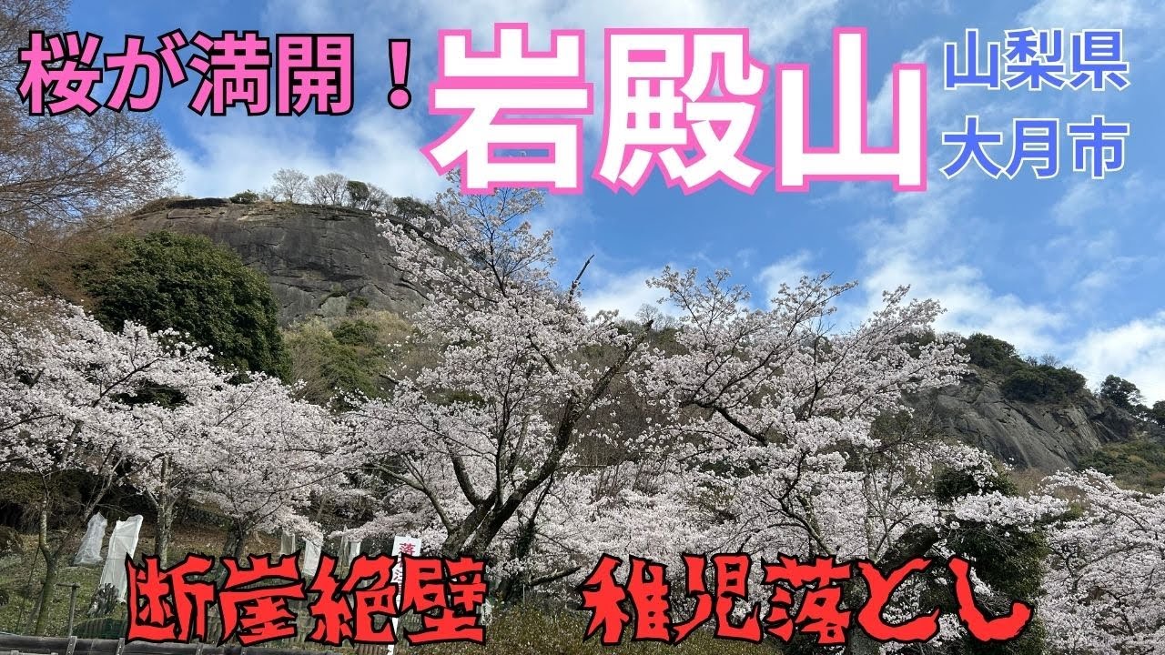 【秀麗富嶽十二景】岩殿山～桜が満開！断崖絶壁の稚児落とし・スリリングな大岩壁を歩く【山さんぽ】