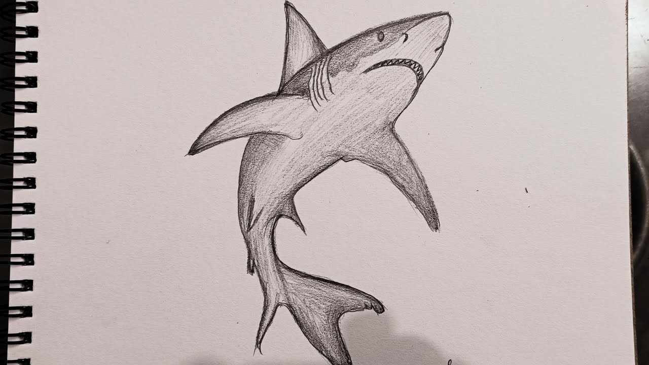 Shark Drawing || Shark Drawing Easy || Shark Drawing for Kids || Fish Drawing