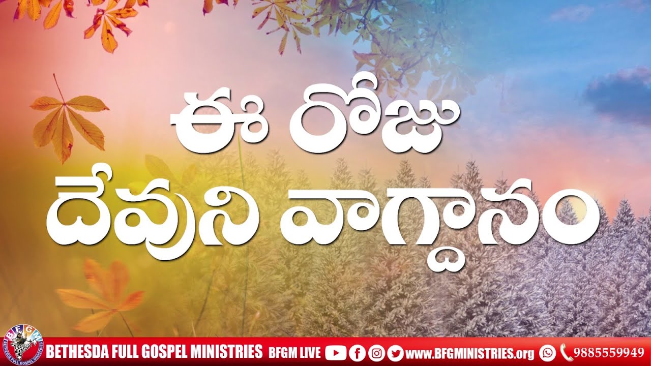 Today's promise 24.08.2025 | BFGM LIVE