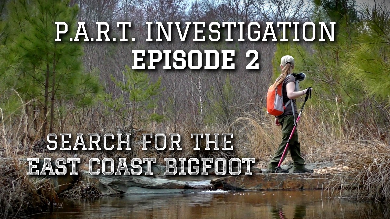 Bigfoot in Maryland? We Enter the Woods to Find Out. | P.A.R.T. Investigation Episode 2