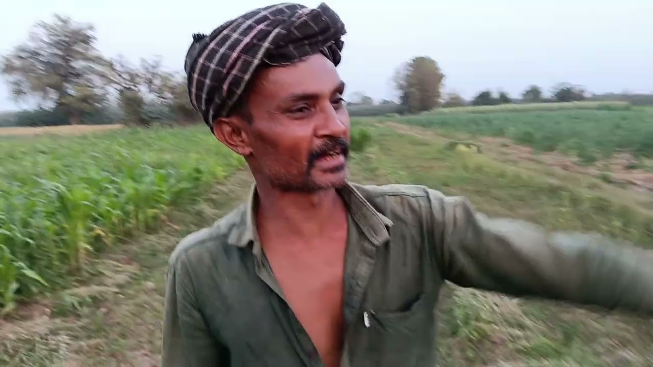 અમે આવી ગયા છે મકાઈ એ 🌾🌾