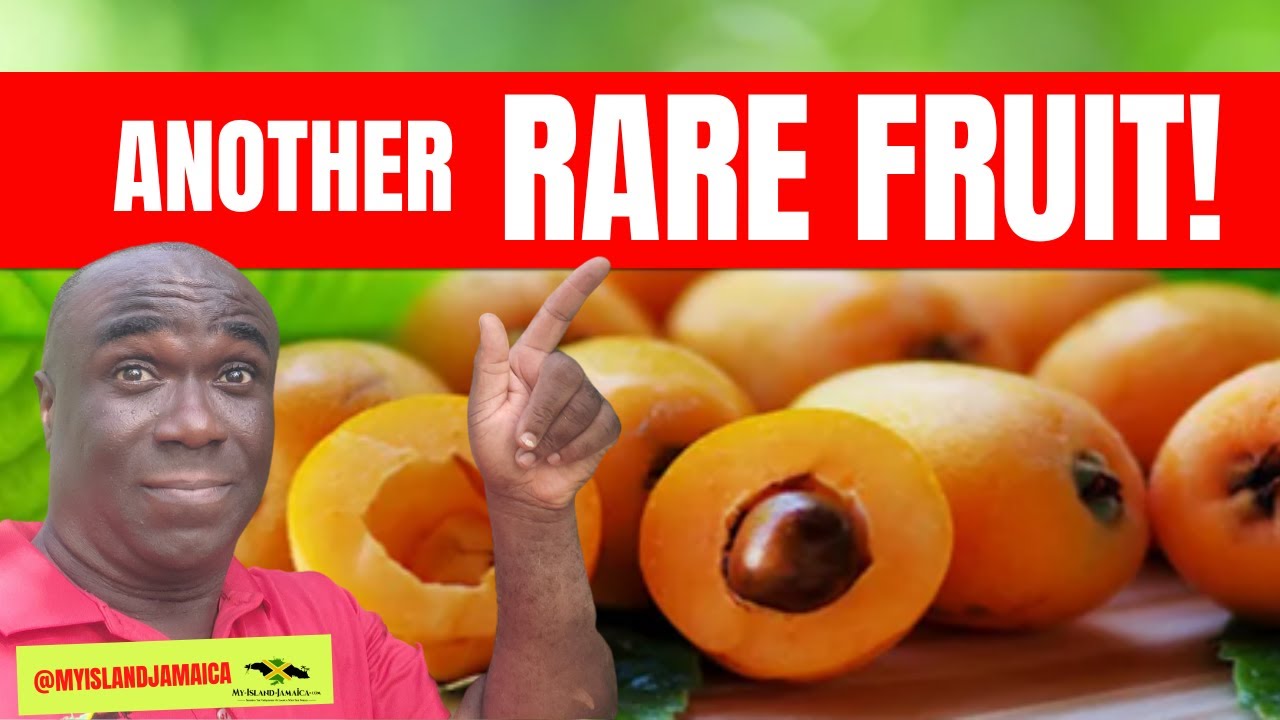 😲 "I had NO IDEA what this fruit was!" 🇯🇲 