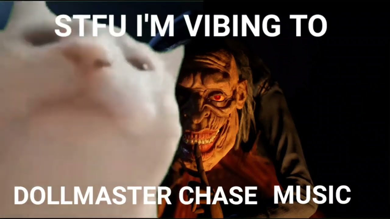 STFU I'm Vibing To Dollmaster Chase Music