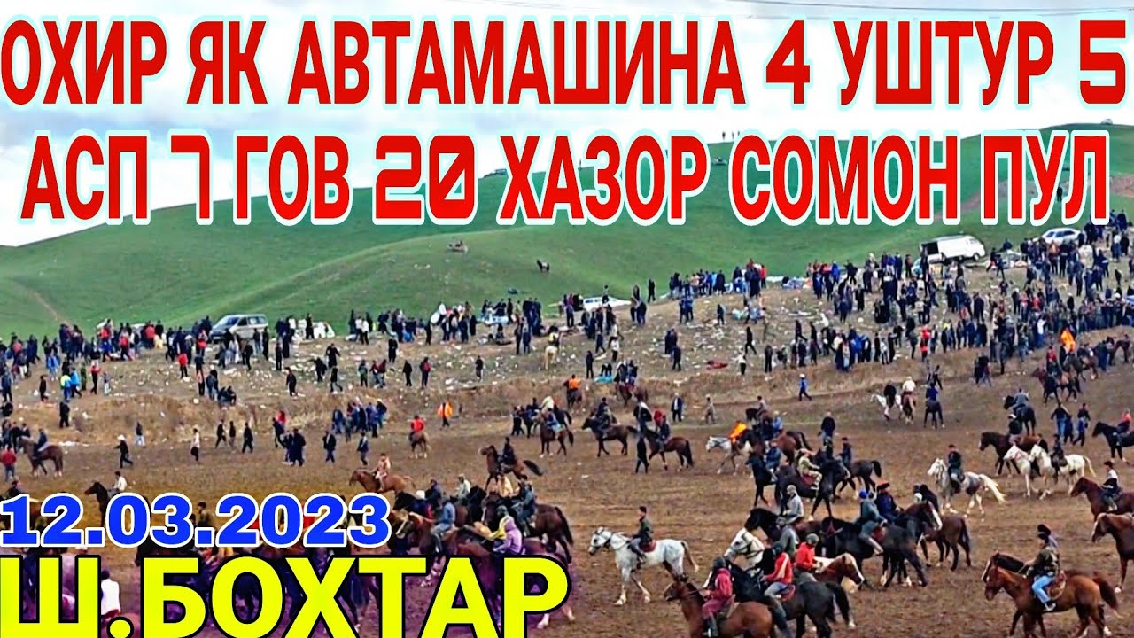 0ХИР ЯК АВТАМАШИНА 4 УШТУР 5 АСП 7 ГОВ 20 ХАЗОР СОМОН ПУЛ БУЗКАШИ 2023 / БУЗКАШИ ТЧ АСО ЧОВАНДОЗ