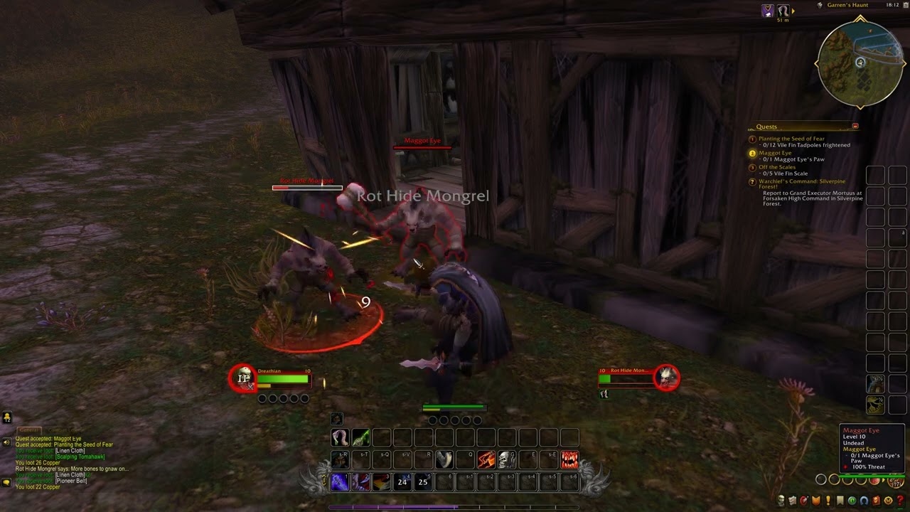 World Of Warcraft Rogue