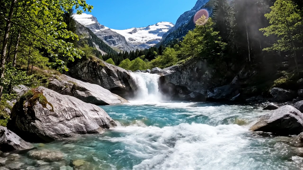 Healing River Sounds & Birds Chirping for Deep Relaxation, Yoga, and Meditation