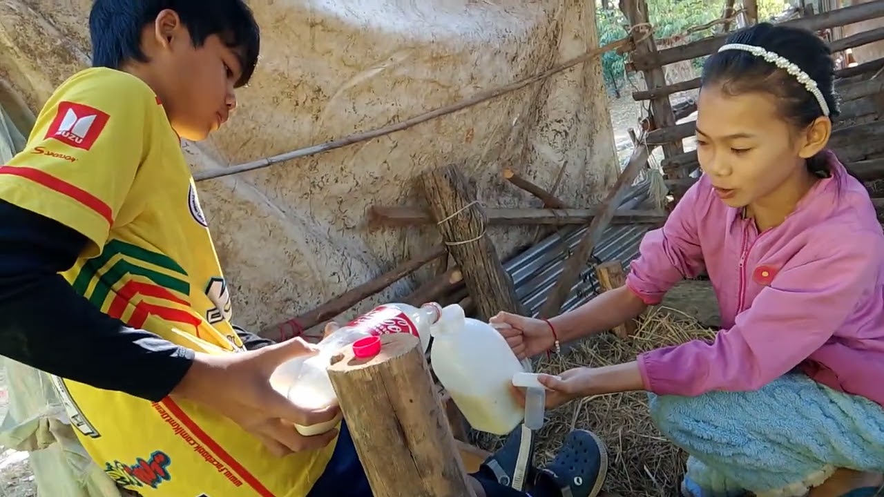 ผิดกันฮอดกับควายน้อยธิดาลาว