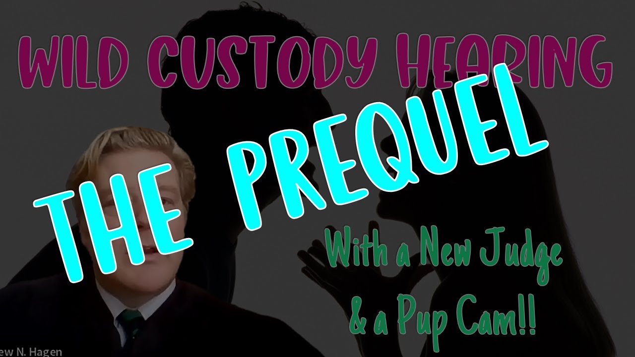 Before there was a Wild Custody Hearing, there was an Even Wilder One!!!