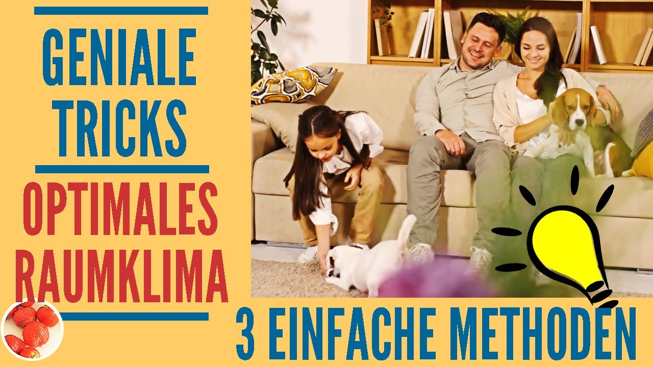 Geniale Tricks: 3 Wege zum optimalen RAUMKLIMA 💥 (EINFACH)