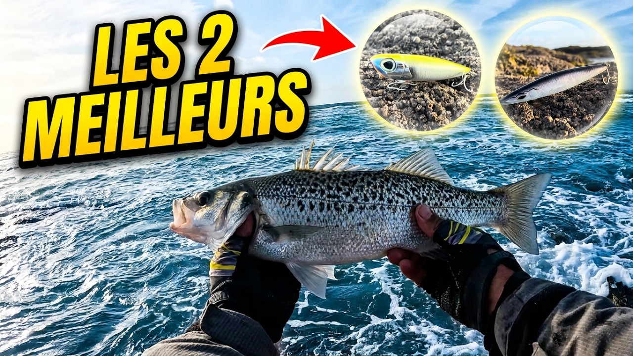 🎣 Le SECRET du BAR par Gros Vent…!! 2 LEURRES INDISPOSABLES 💯