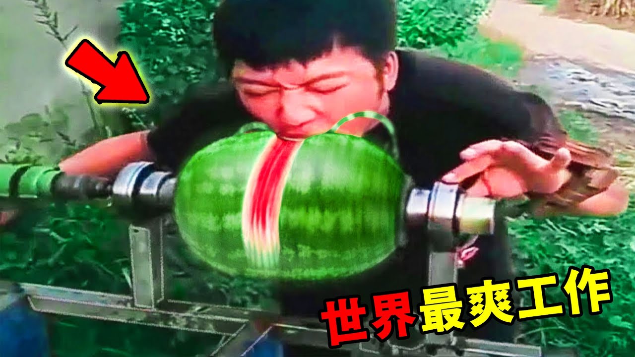 全球最爽的10個職業！睡覺賺錢只能排第九，第一名年薪百萬，卻沒有任何工作內容，堪稱全球打工人最美的夢！