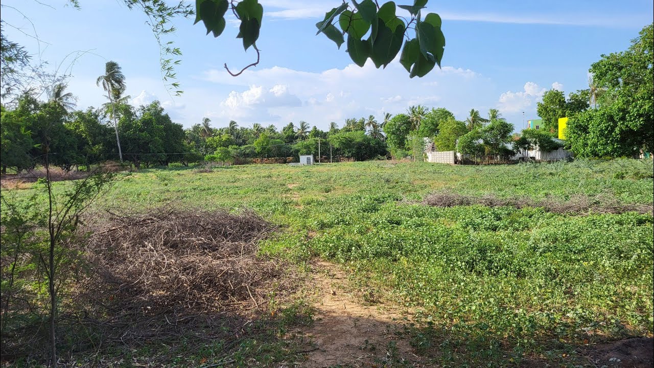 acre for sale in trichy | Srirangam melur | 2 acre 20 cent | per sqft ₹ 1000