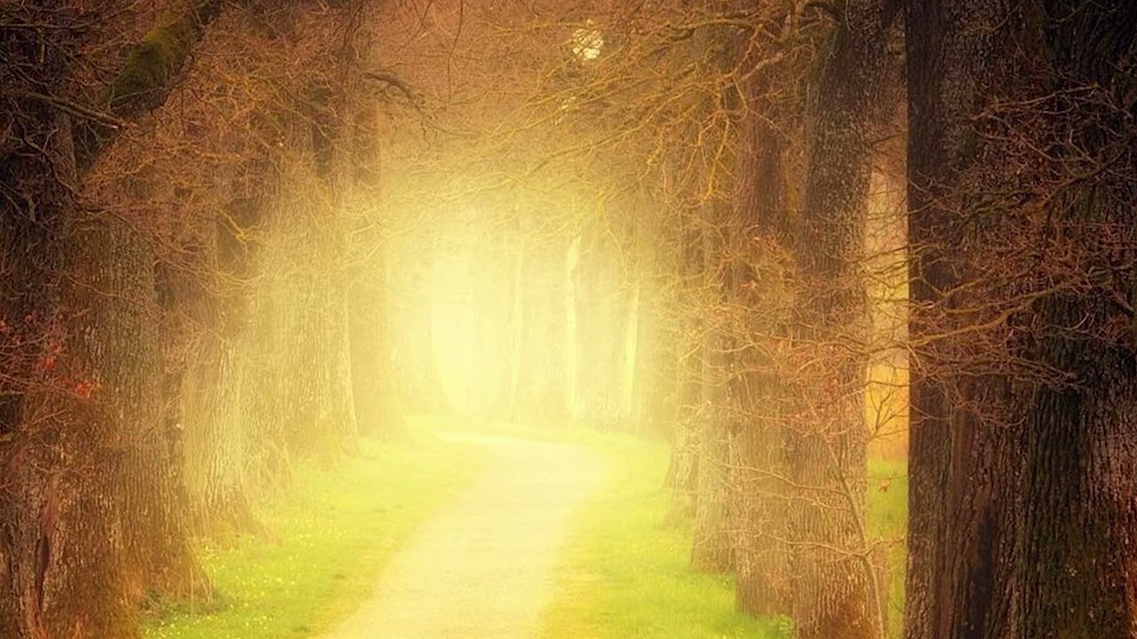 Meditation schamanische Reise zum inneren Kraftort