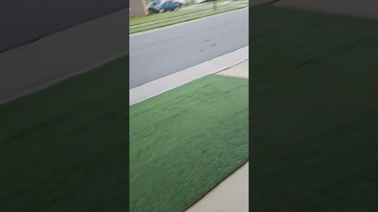 #shorts #shortvideo #shortsfeed #bermudagrass #reelmower #lawncaretips #primomaxx