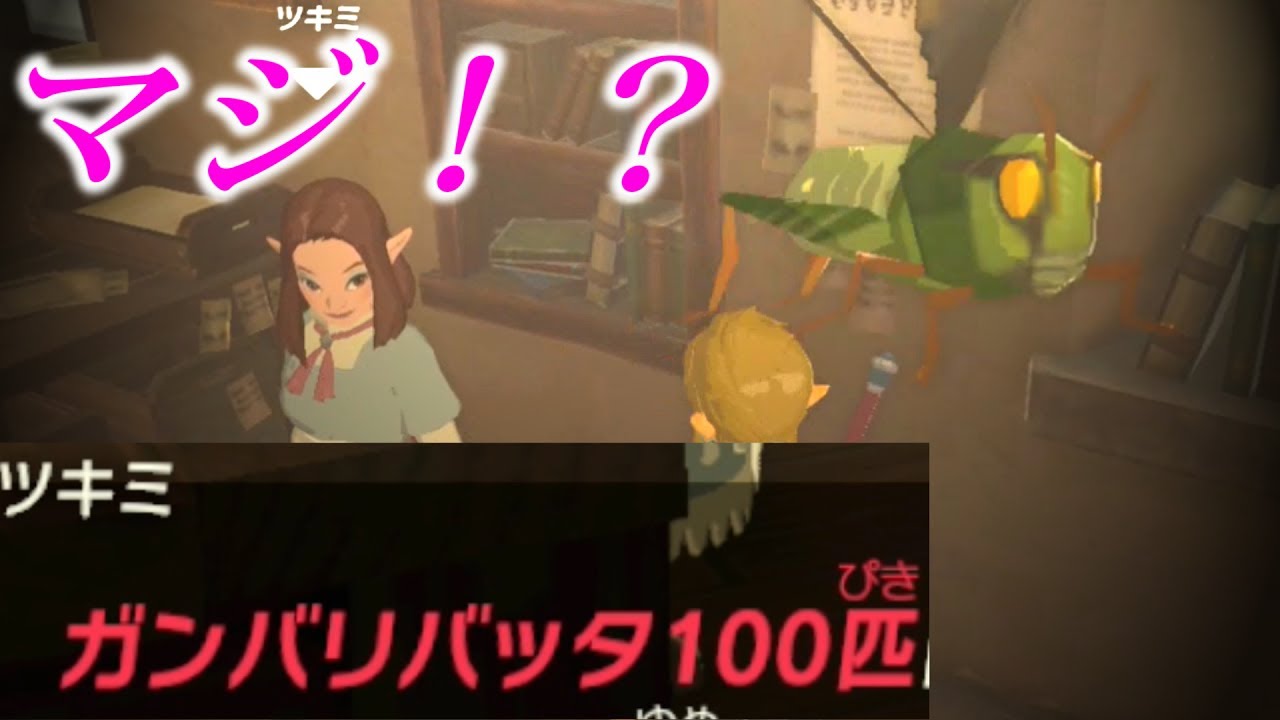 ガンバリバッタ１００匹、ツキミに本当に持って行ったらどうなるのか？(愛しの人が望む物)【ゼルダの伝説ブレスオブザワイルド】検証　実況