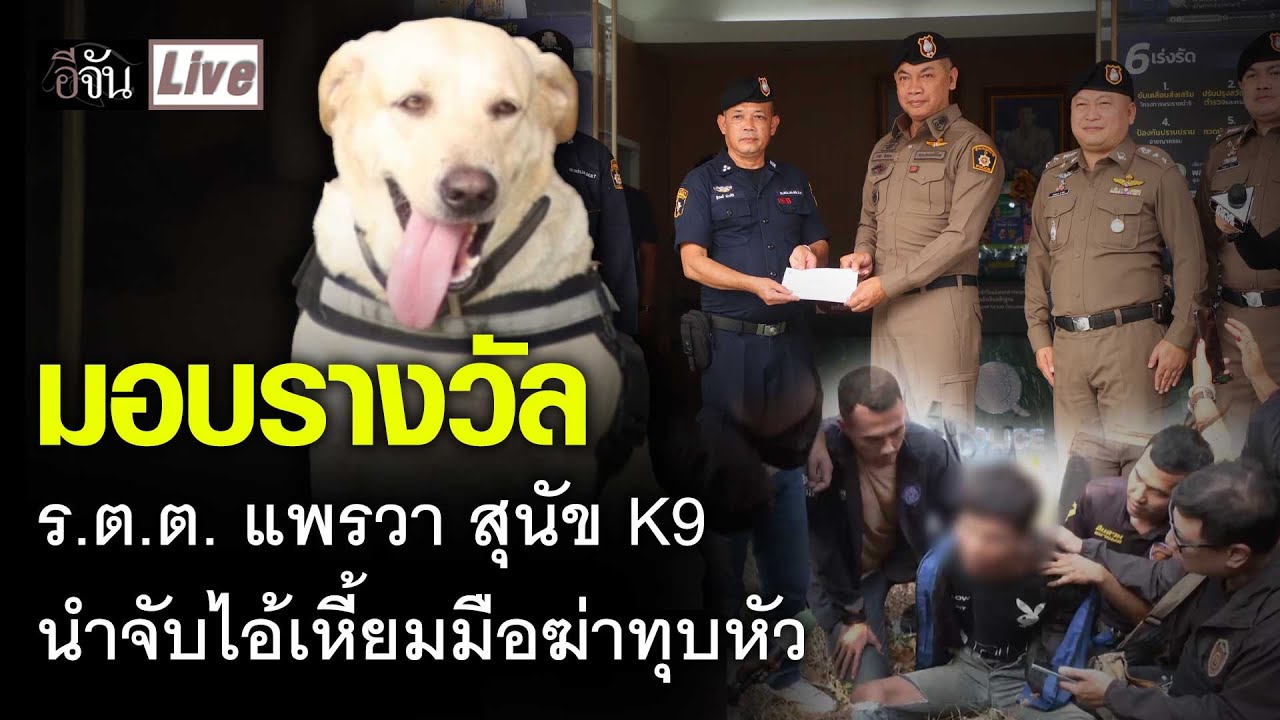 Live มอบรางวัล ร.ต.ต. แพรวา สุนัข K9 นำจับไอ้เหี้ยม มือฆ่าทุบหัว | อีจัน EJAN