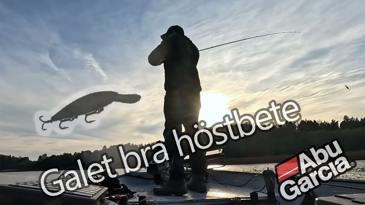 Fånga HÖST-ABBORREN enkelt