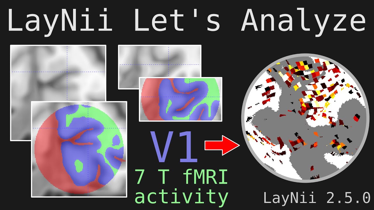Let's Analyze E002 - LayNii layers and flattening fMRI activity in V1