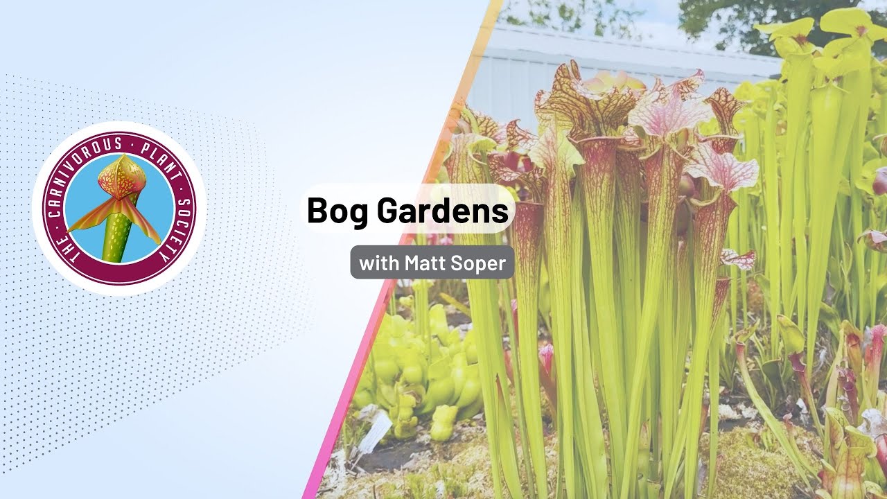 Bog Gardens with Matt Soper