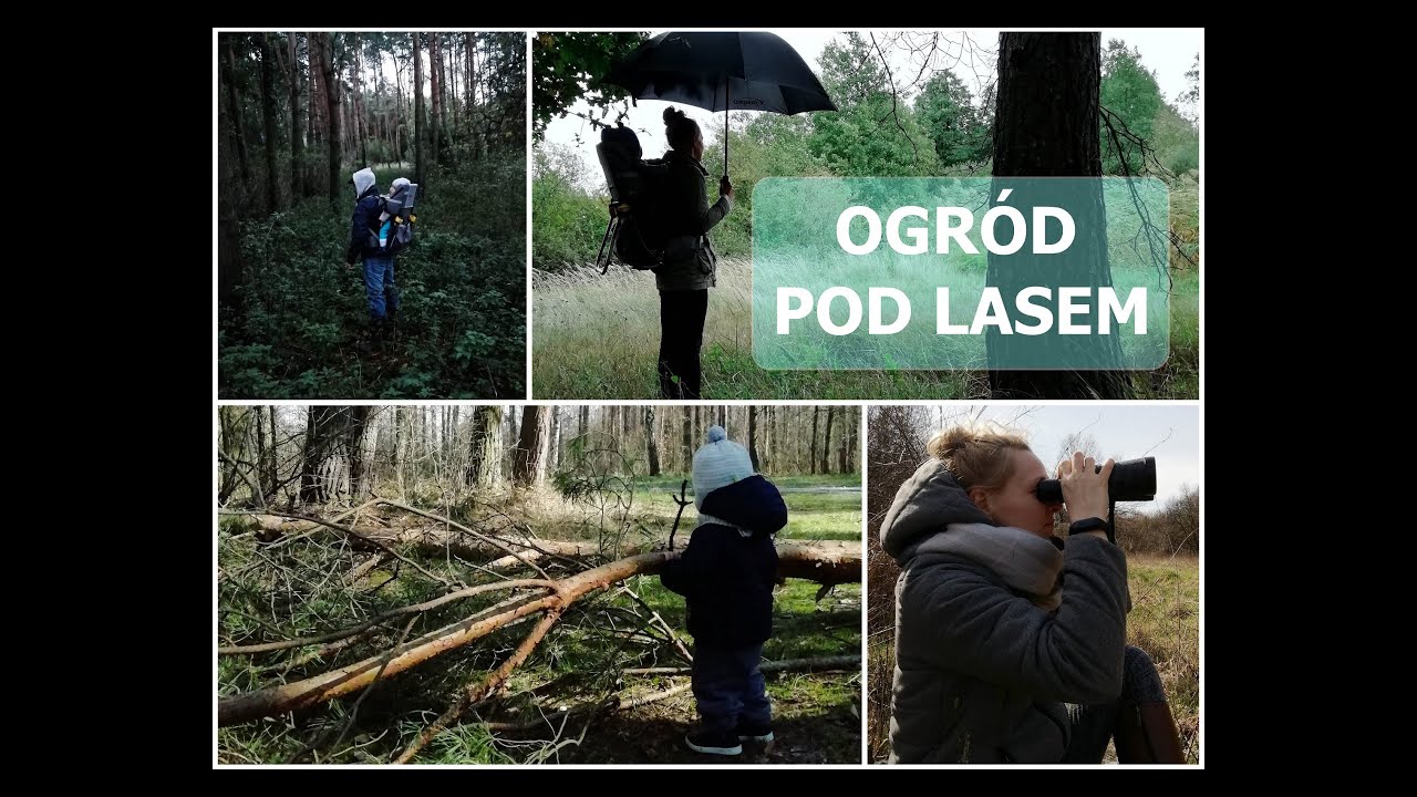 Ogr&oacute;d od zera #0 - Leśne Ludki - czas start!