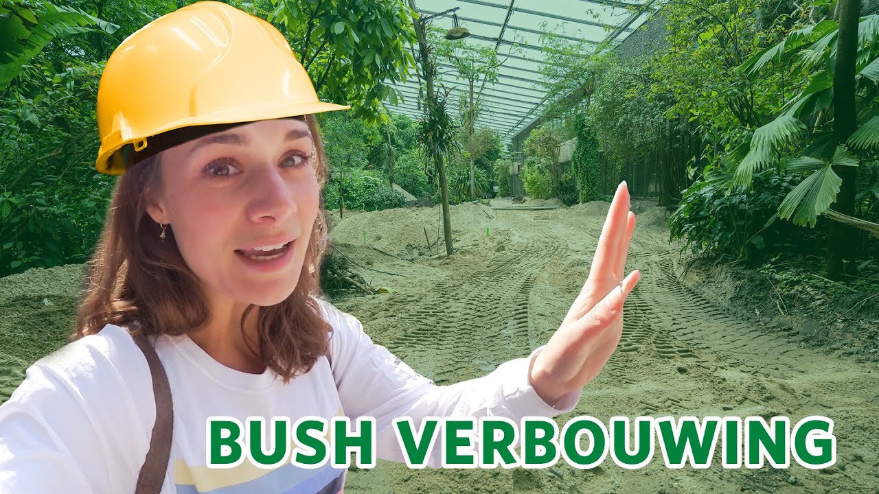 👷‍♀️🚧  Verbouwingen in Burgers’ Zoo!  🚧👷‍♂️