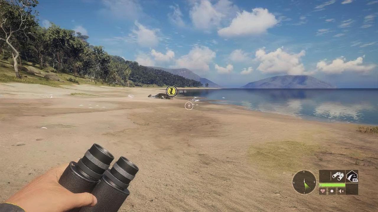playing hunter call of the wild