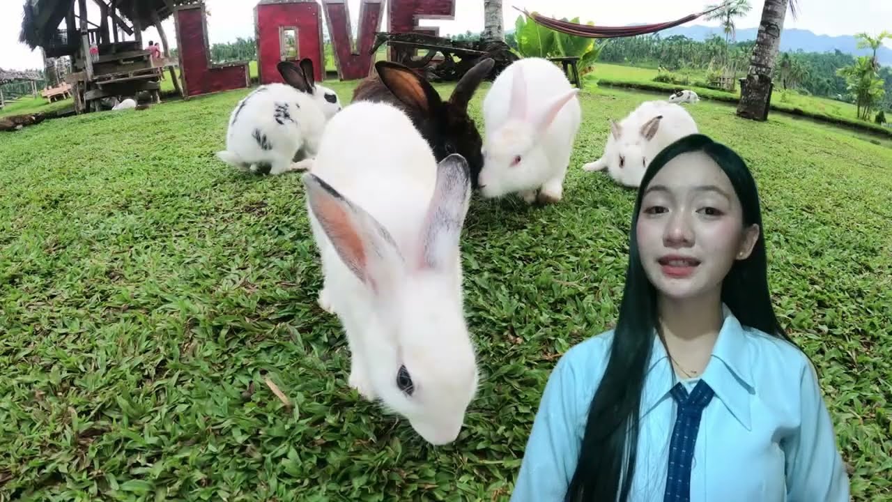 Map Convergence ( MAPPING) of SOGOD, SOUTHERN LEYTE by Micah D. Mingga-as ( BSTM 1-B)