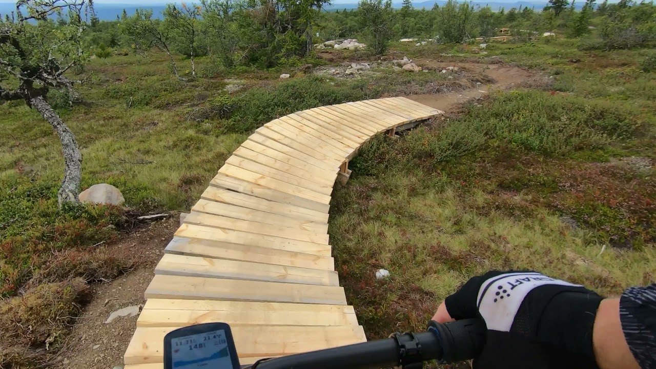 MTB Lofsdalen Fjälleder