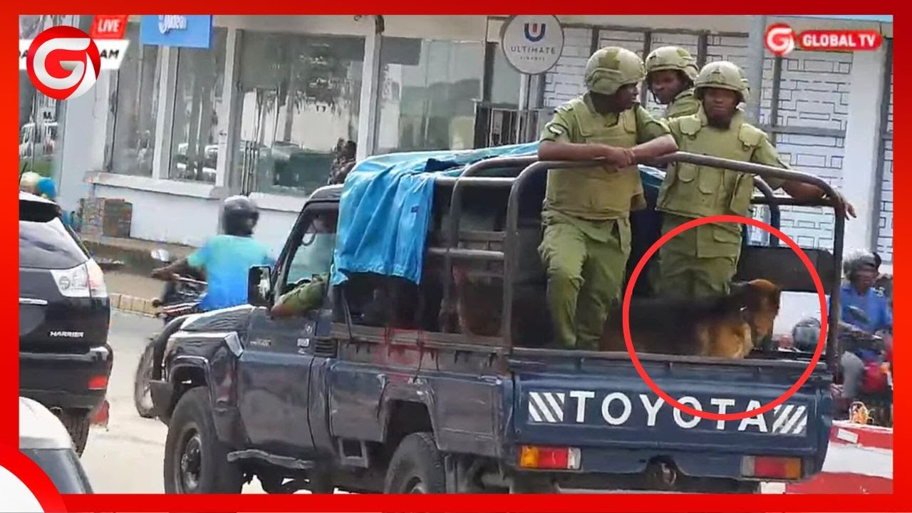 VIDEO: POLISI WATANDA DAR - WAPO na MBWA WAO WAKALI KUTULIZA VURUGU YOYOTE IKITOKEA KESI ya LISSU...