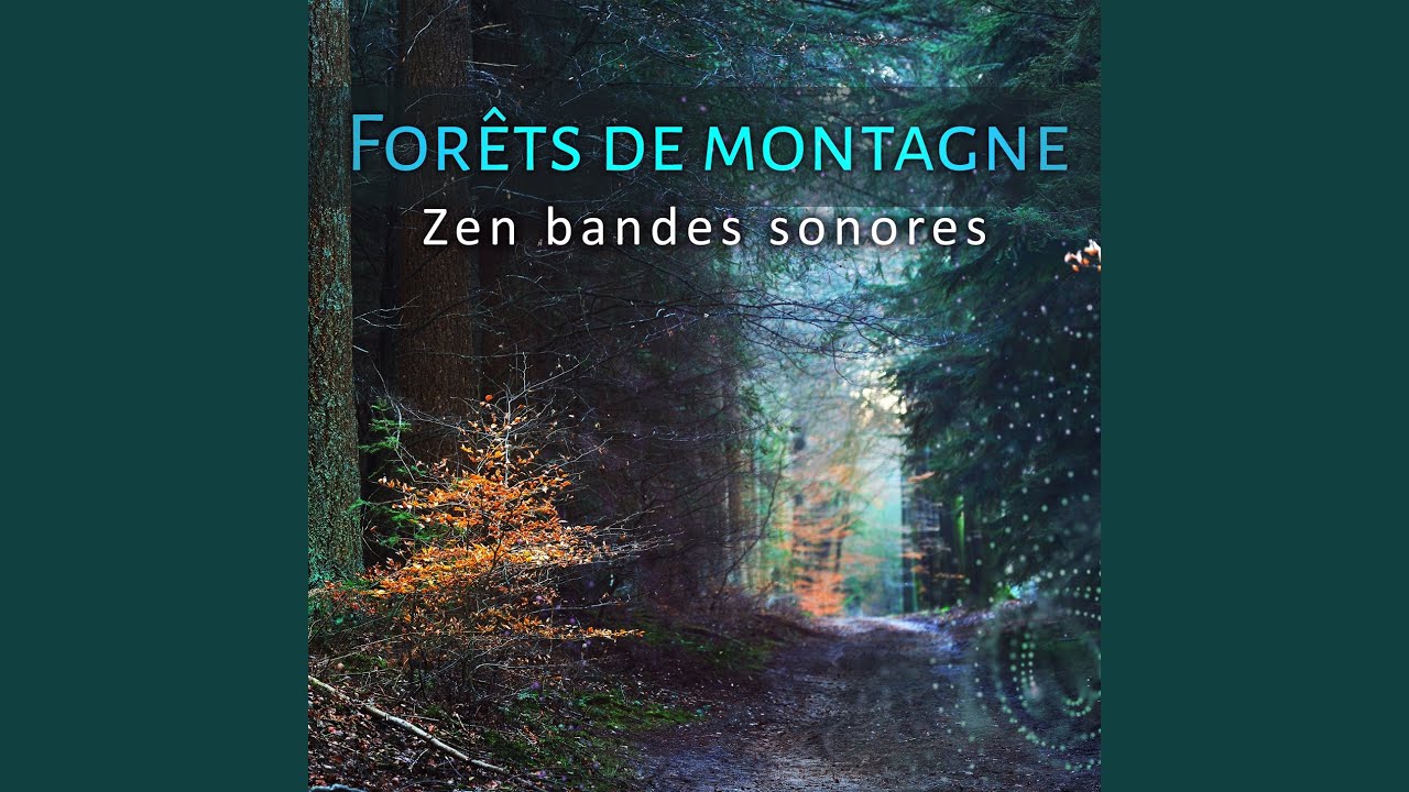 M&eacute;ditation pleine conscience