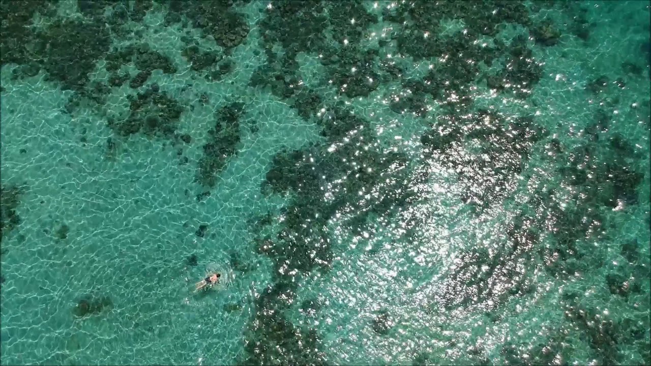 Snorkeling on a pristine coral atoll in Philippines!