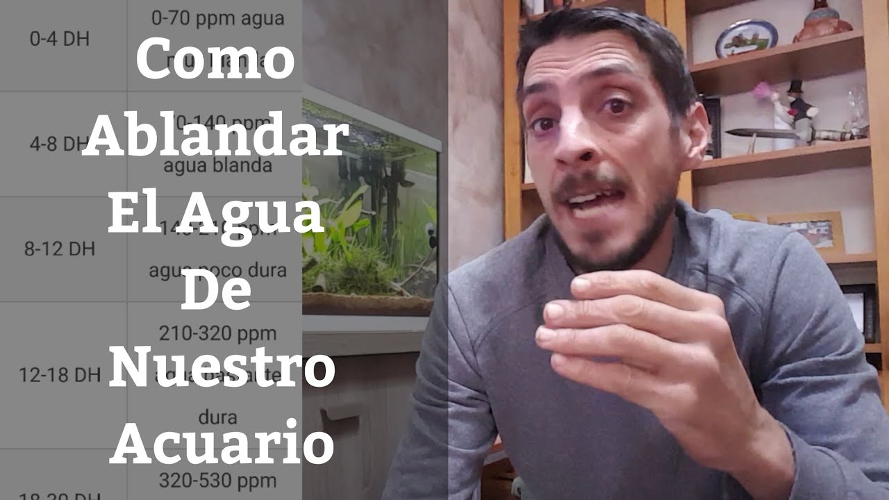 🔵 Como Ablandar El Agua De Nuestro Acuario Bajando La Dureza Del GH (Acuarios MB)