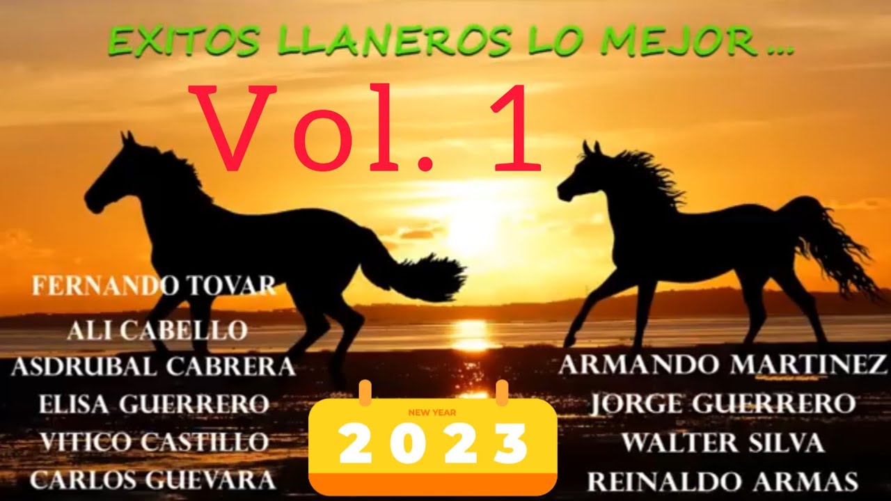 LLANERAS VARIADAS SOLO EXITOS  VOL.1