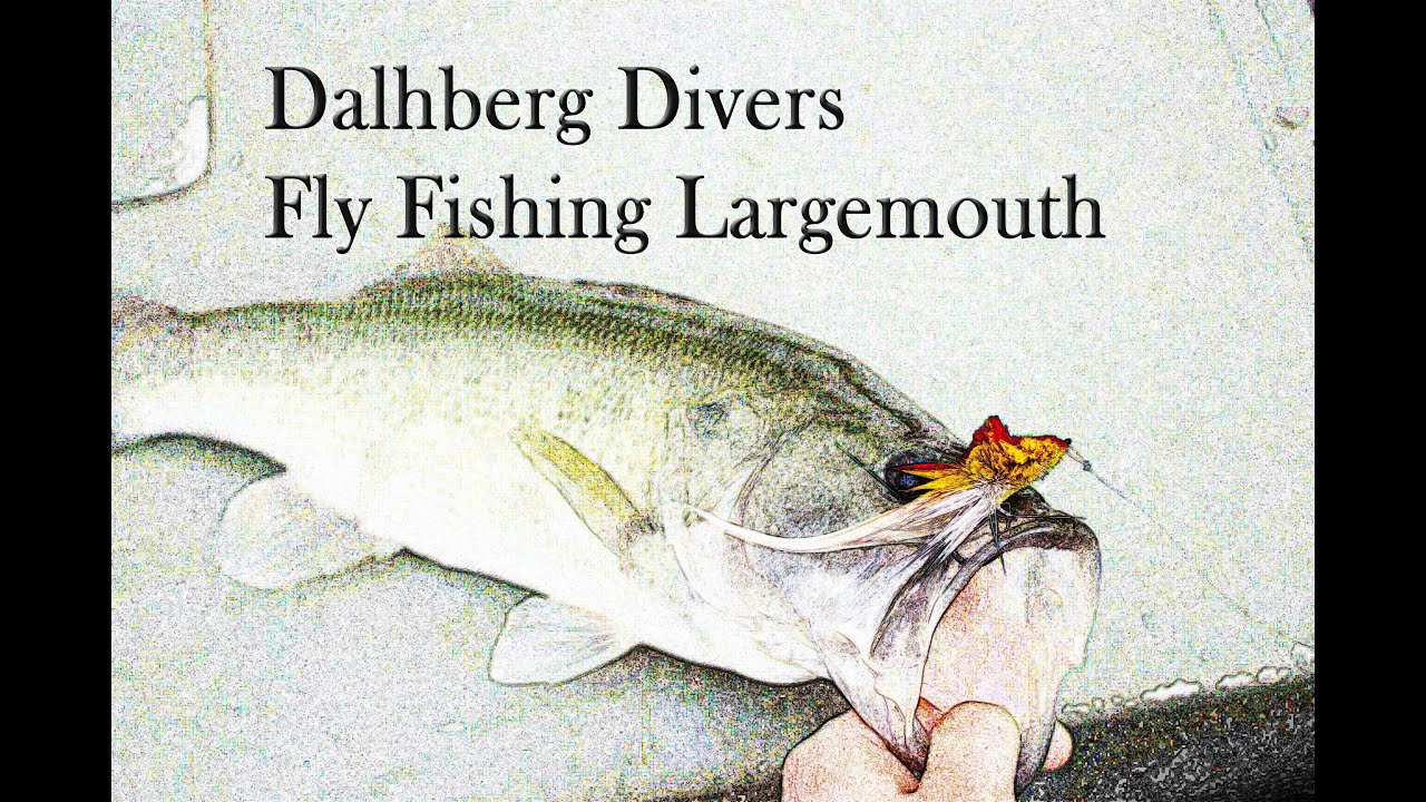 Fly Fishing Largemouth Bass - Lake Picachos (Day 3 - EPIC Topwater)
