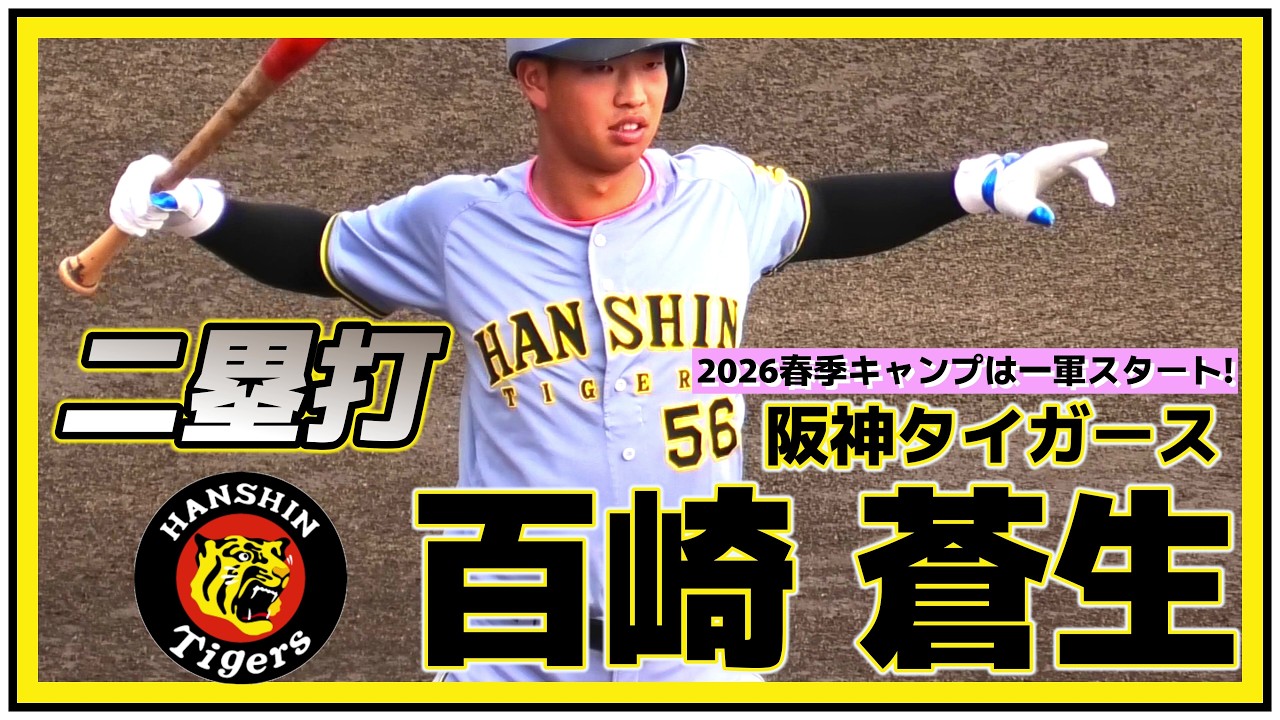 【≪球春到来！春季キャンプは宜野座(一軍)スタート！/実戦打撃≫高卒3年目を迎えた期待の内野手！今季の一軍デビューを目指す！/練習試合vs中日ドラゴンズ】阪神タイガース・百崎 蒼生(東海大熊本星翔高)
