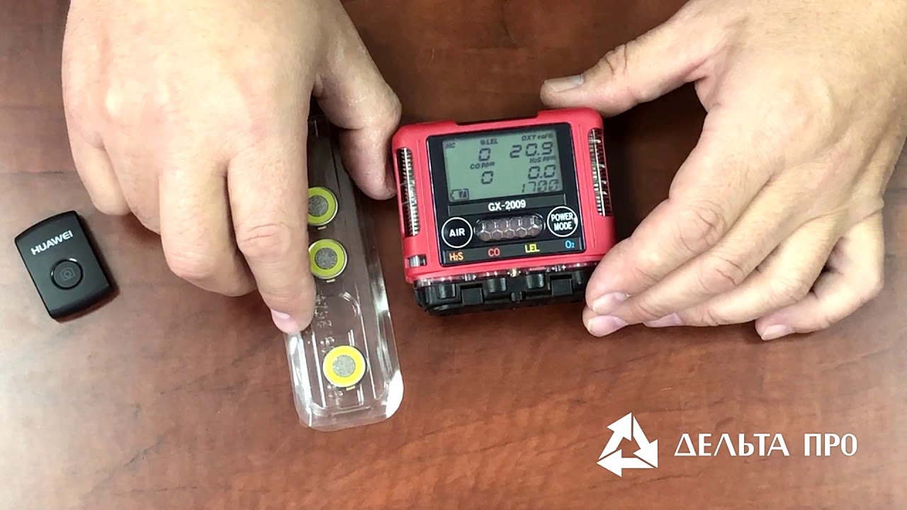 Газоанализатор RIKEN KEIKI GX-2009